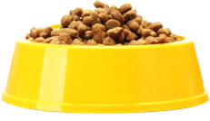 Pet Food